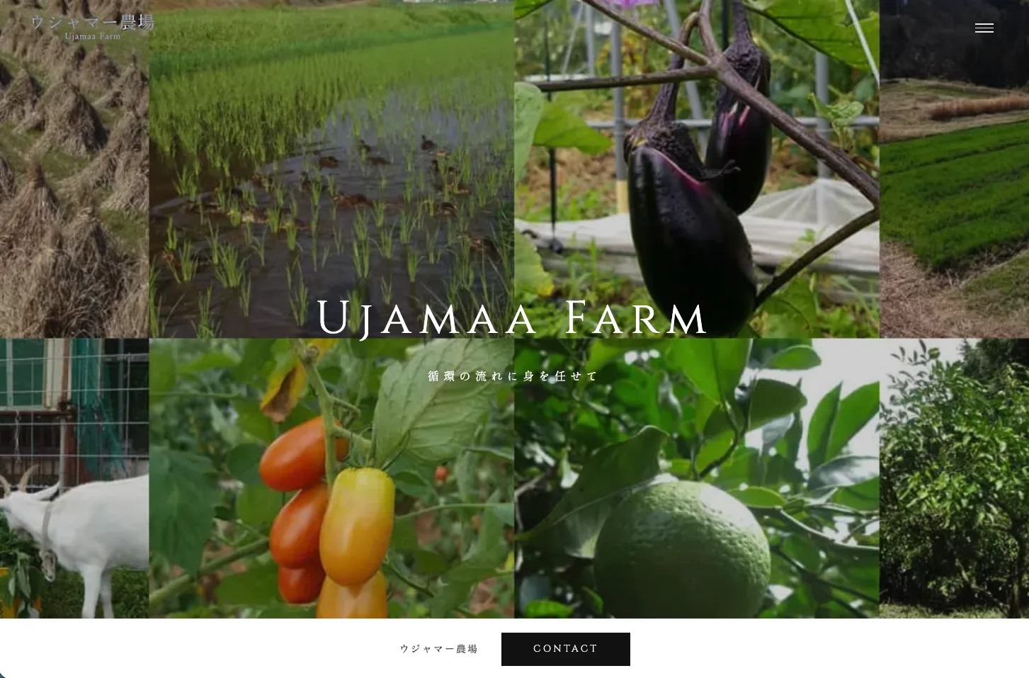 ウジャマー農場 公式サイト 制作実績