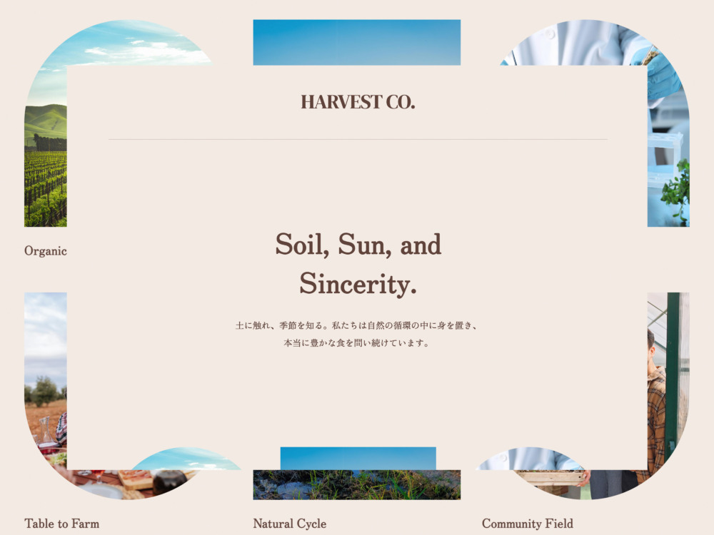 HARVEST – ハーベスト – EYANCA無料テンプレート