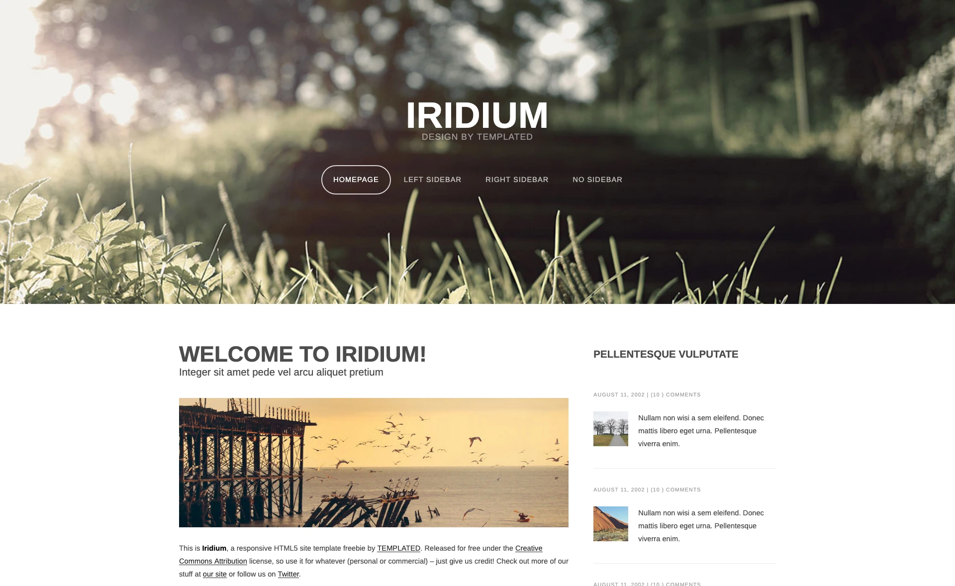 Iridium – Free HTML5 & CSS3 Landing Page Template