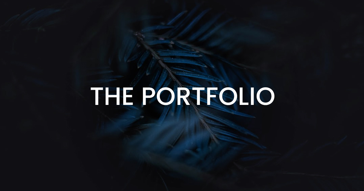 THE PORTFOLIO