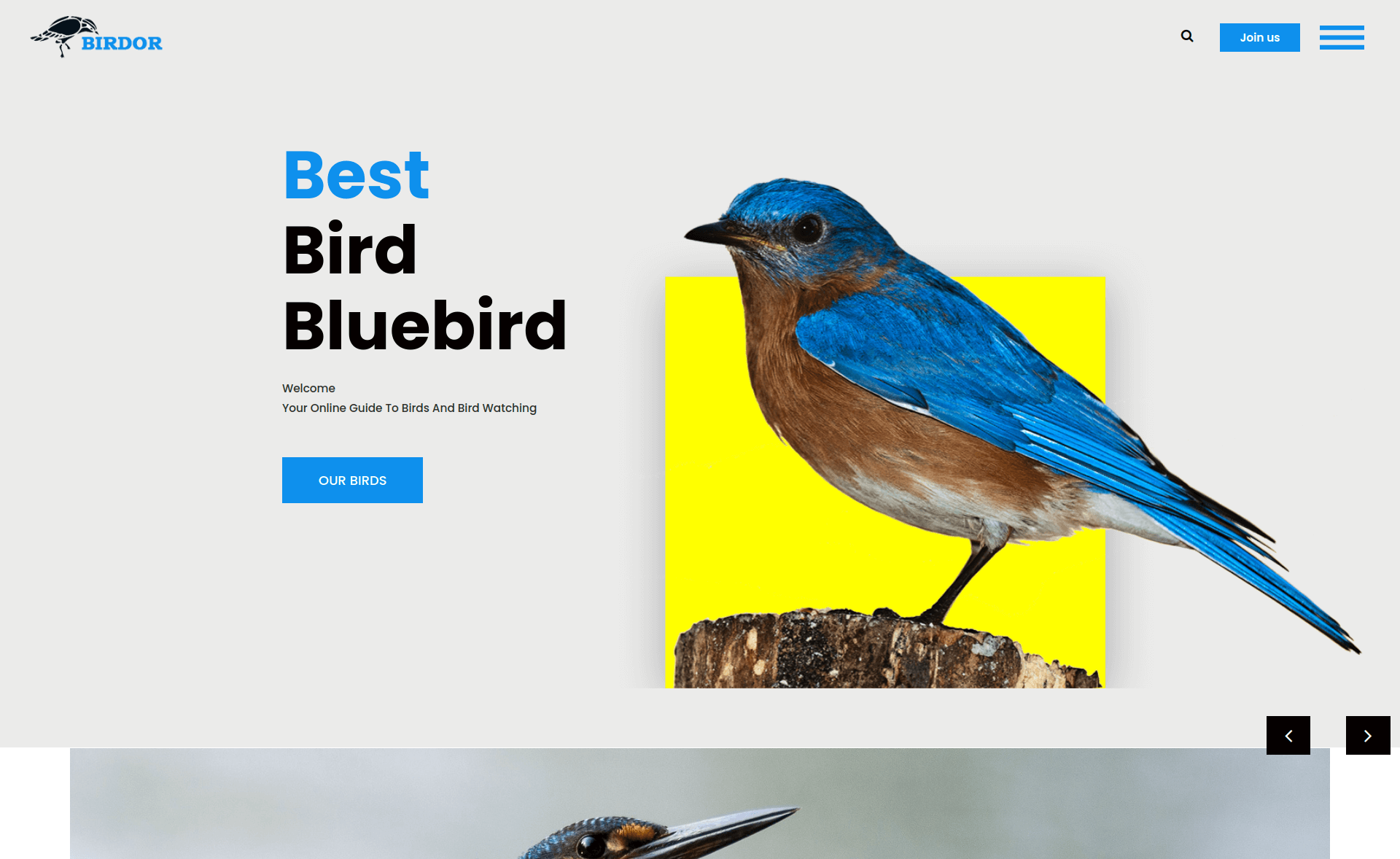 Birdor – Free Bootstrap 4 Creative Agency Website Template
