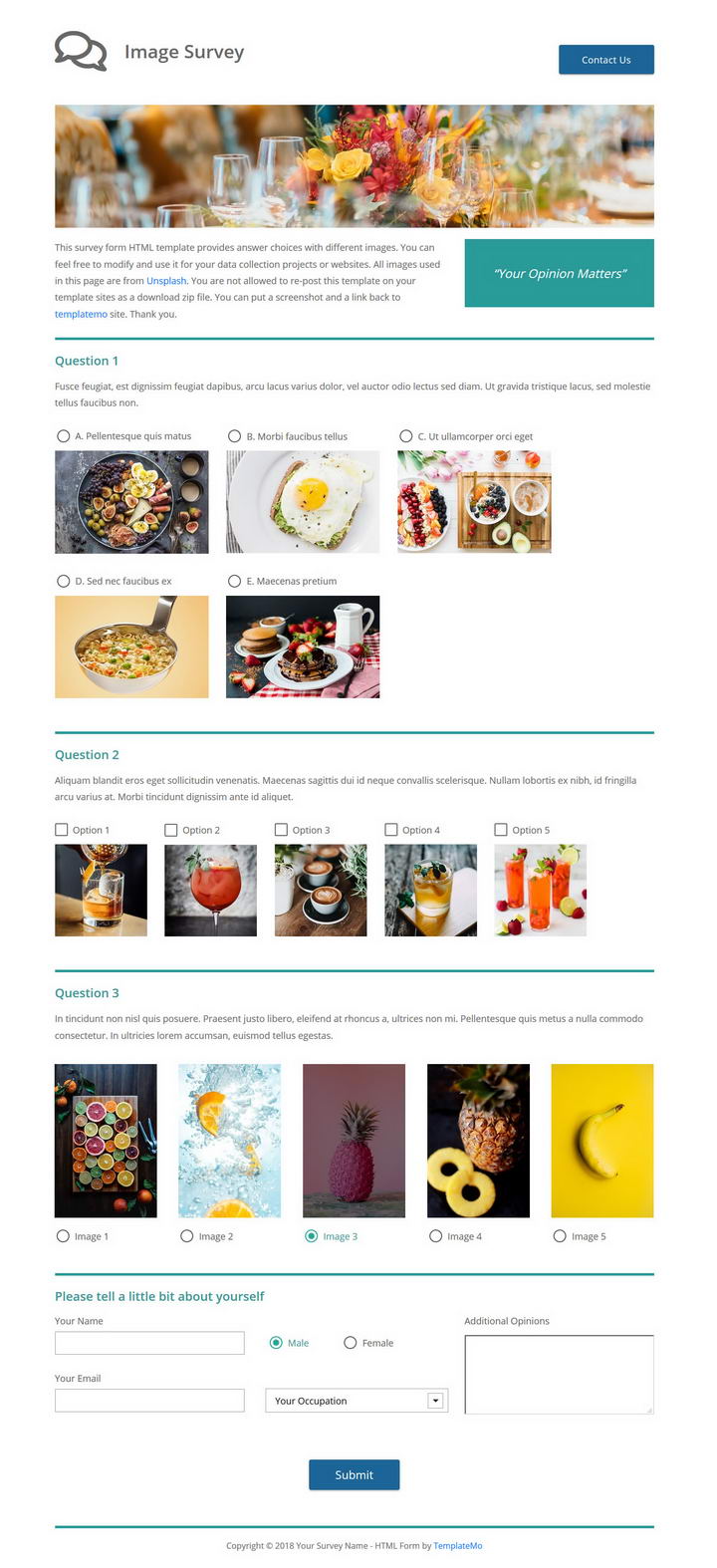 Image Survey Template