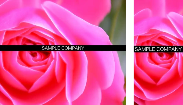 企業・ビジネスサイト向け tp_biz51_pink