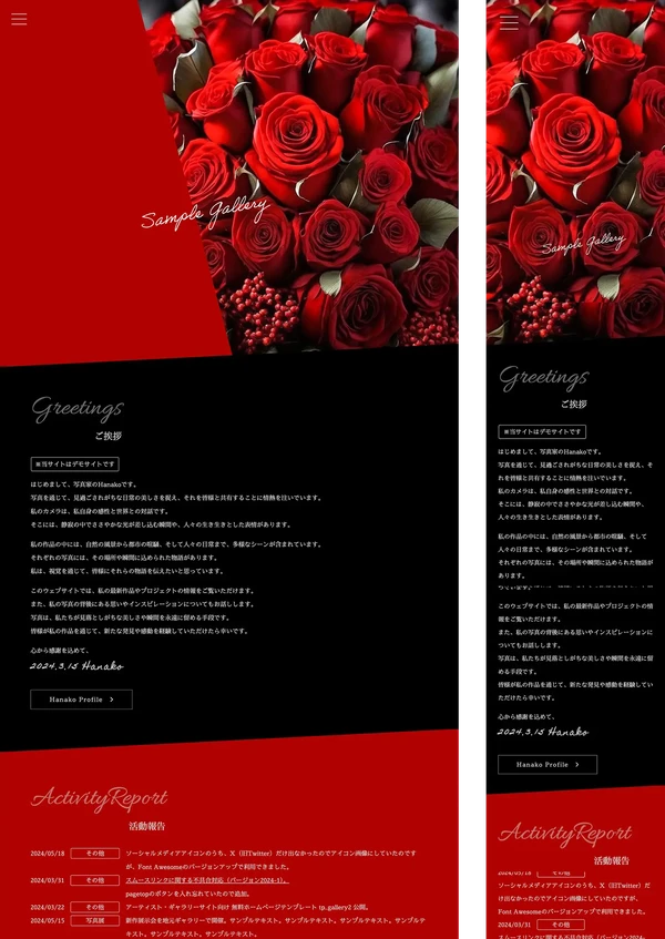 アーティスト・ギャラリーサイト向け tp_gallery2_red_black