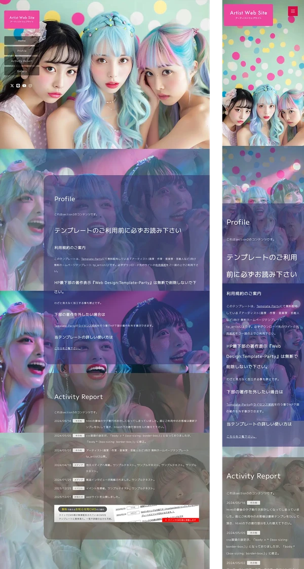 アーティスト(画家・作家・音楽家・芸能人など)向け tp_artist2_idol