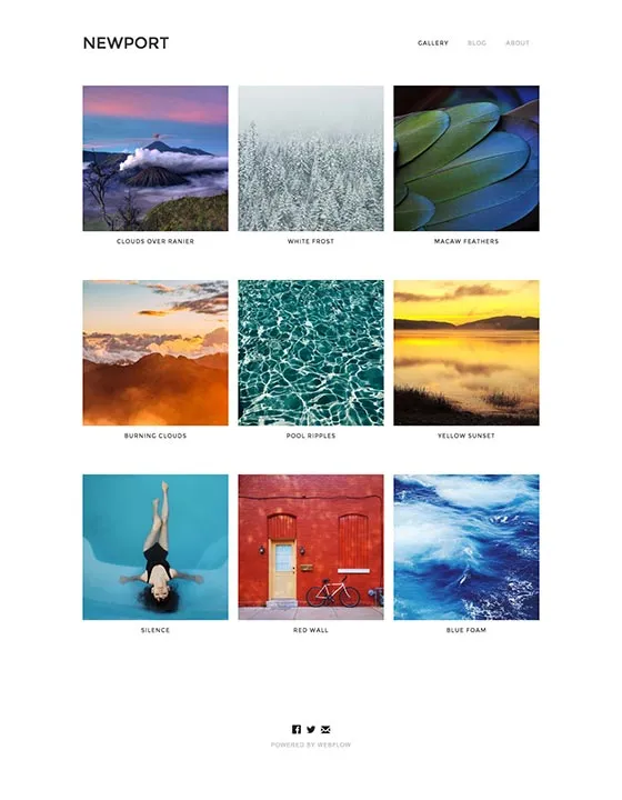 Newport – Webflow無料テンプレート
