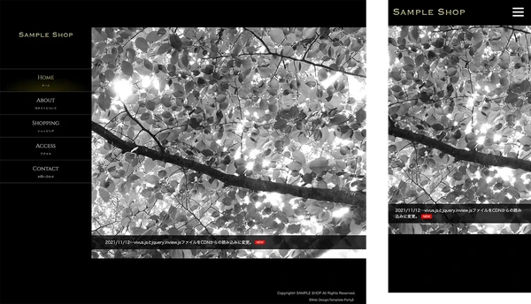 高級ショップ向け tp_shop10_black