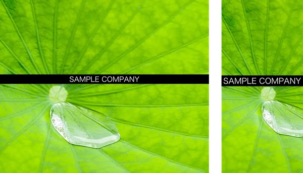 企業・ビジネスサイト向け tp_biz51_green